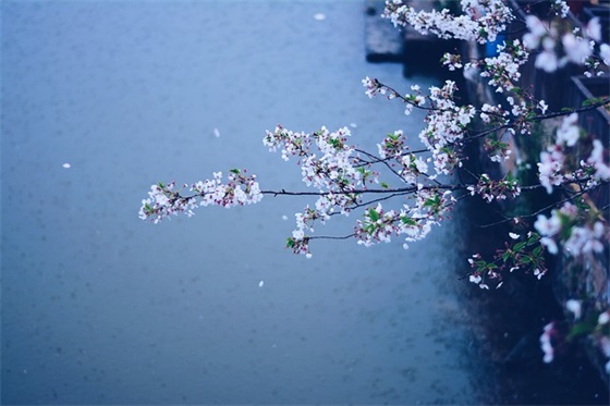 qq性签名00后90后125句