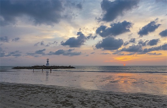 描写小草坚强的诗句21句