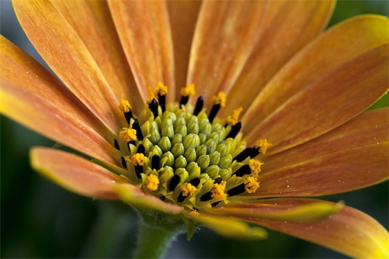 描写自然景色的诗句35句