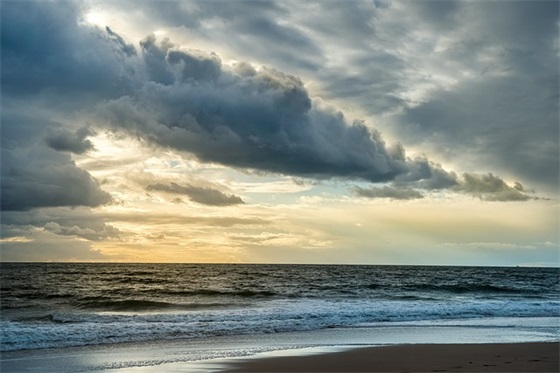 描写莲花的古诗10首 描写莲花的诗句古诗名句