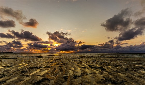 博雷家书好词好句