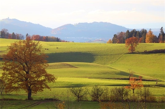 水浒传好词好句摘抄 水浒传好词好句好段摘抄
