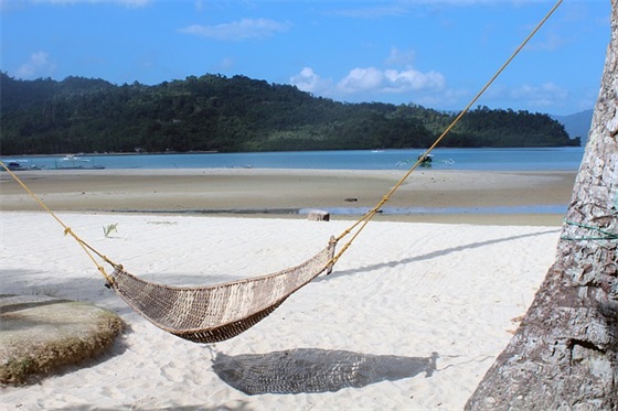 社会主义核心价值观心得体会