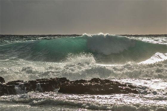 忠诚卫士心得体会