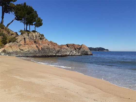 捡垃圾心得体会