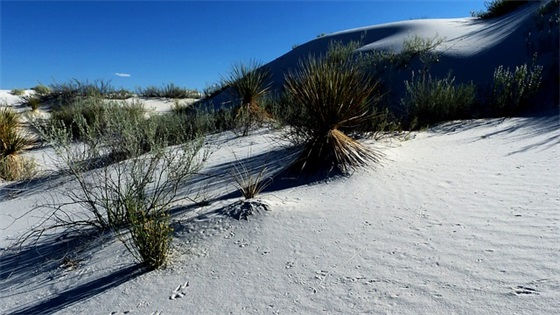 顺丰加急件多久能到