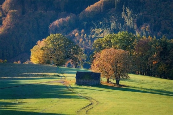 steam退款要多久