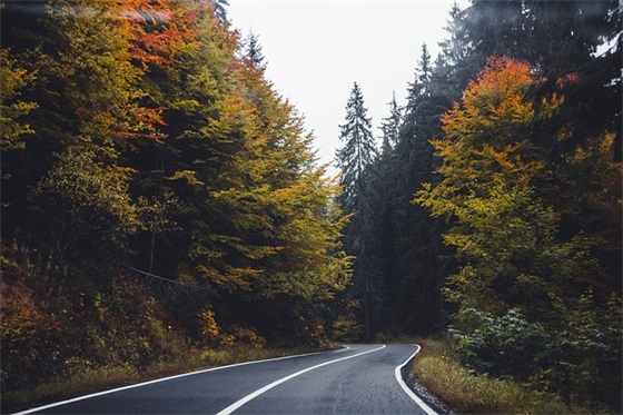 微信网名英语我喜欢你