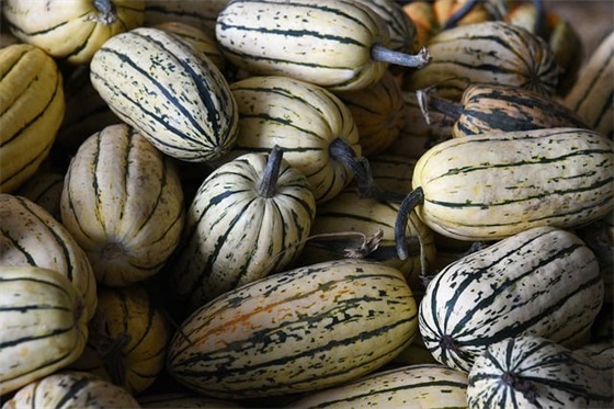 微信网名女有傲字