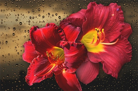 基督徒微信网名