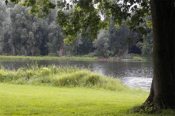 微信法文网名带翻译