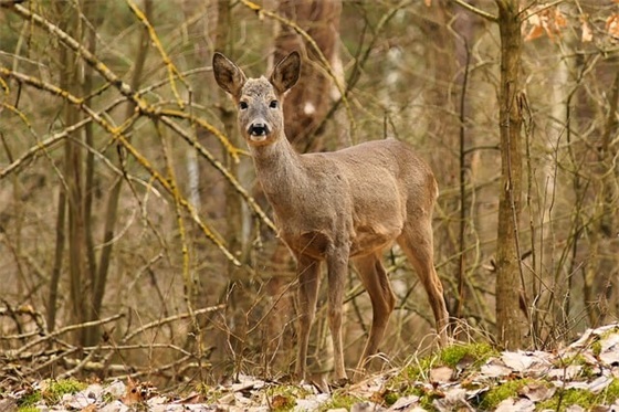 有关娟和斌的微信网名