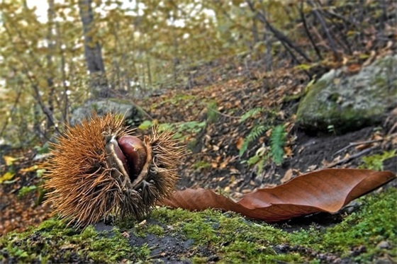 微信闺蜜网名女生