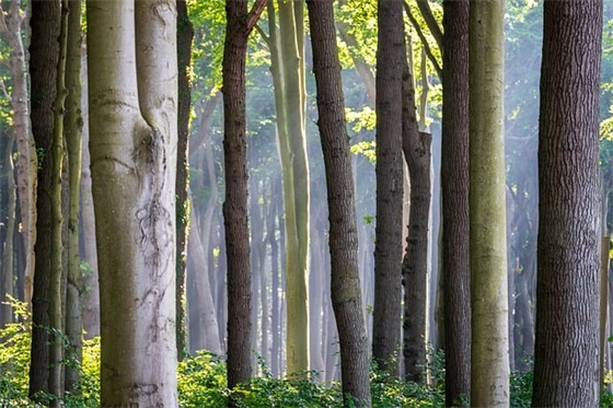 小动物个性网名