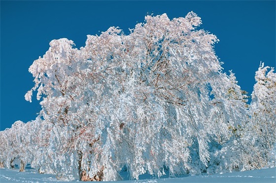 女生网名唯美繁体微信