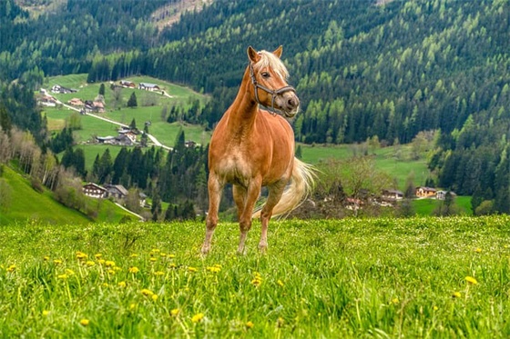 艺术微信网名大全唯美