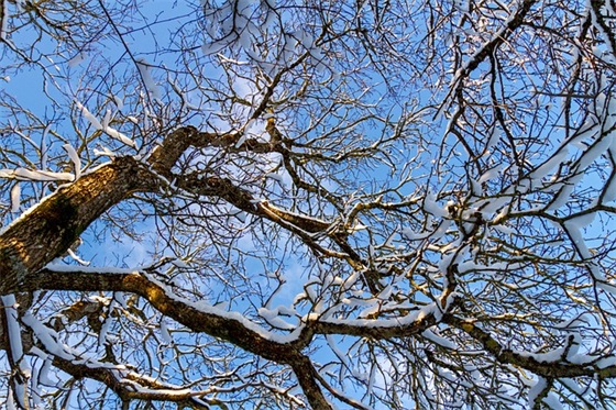 生日老人祝福语80句