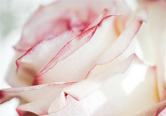 2025三八妇女节个性祝福语 妇女节微信幽默祝福语