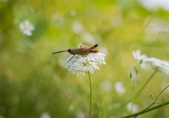 求婚搞笑祝福语62句