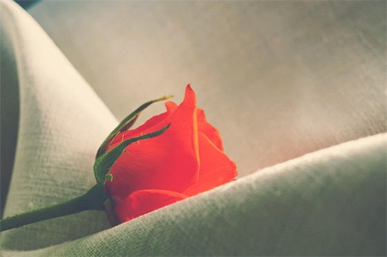 换新单位的祝福语83句