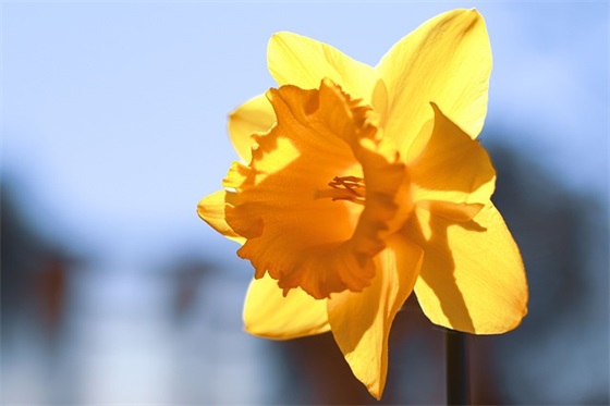 最新五一劳动节祝福语