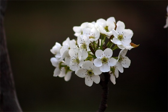 2025年新年奇葩祝福语53句