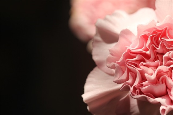 适合春节发的朋友圈说说祝福语