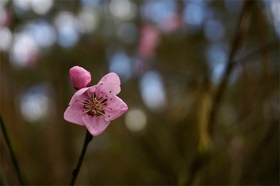 快乐周末的祝福语62句