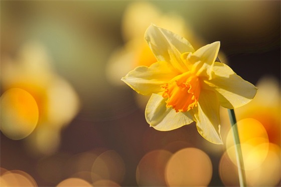 保险公司的祝福语82句