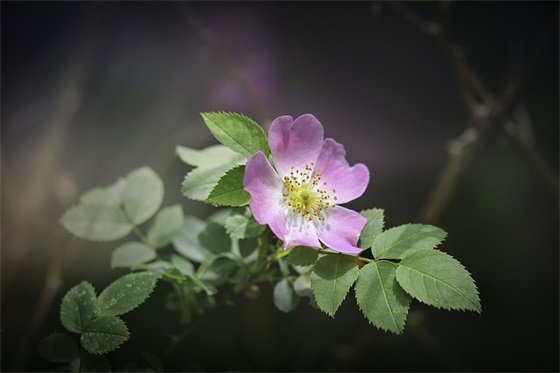 致自己的生日文案简洁高级(祝福自己生日的文案高级)