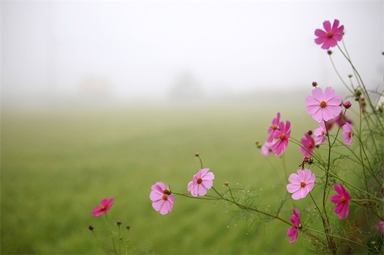 简短祝福语送朋友 真诚的祝福语送朋友