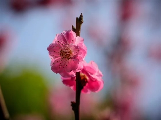 毕业感言简短精辟 励志 毕业祝福语简短