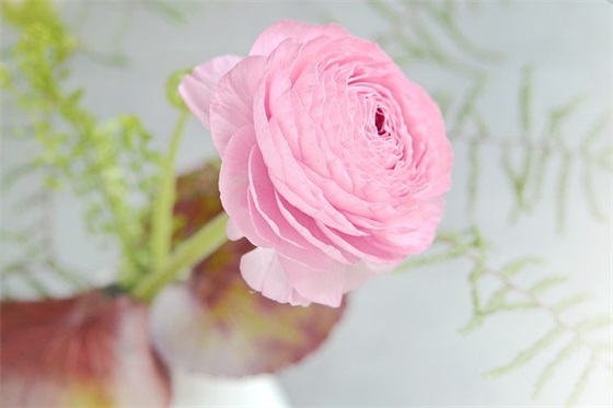 冬天早上祝福语56句