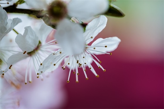 祝福语大全2025年送老师57句