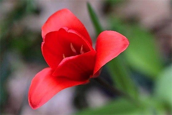 关于足球队的口号SLOGAN(精选110句)