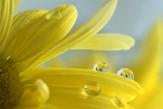 骂人的话带脏字越毒越好(精选77句)