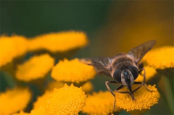 致自己的短句 送给自己的一句话励志简短(精选90句)