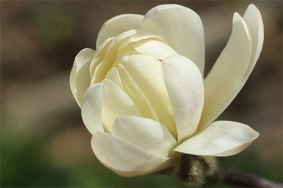 公司年会老板的讲话(精选3篇)