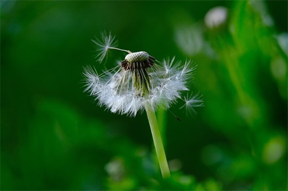一次有趣的手工课(精选4篇)