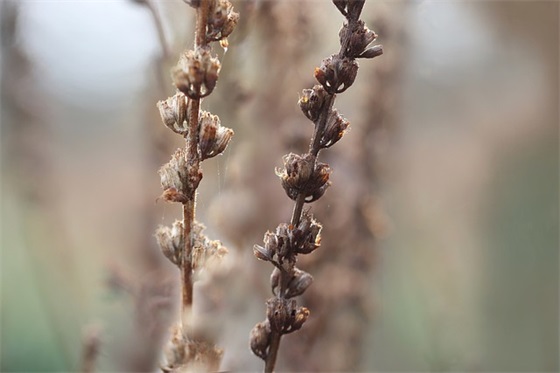 助产专业求职自荐信模板(精选3篇)