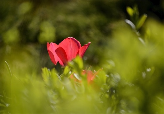 四大名著的阅读感想 大全(精选3篇)