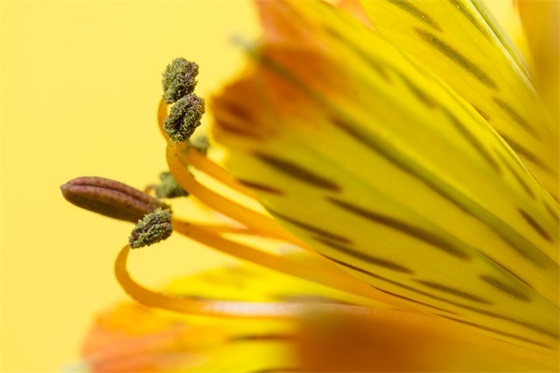 游东方盐湖城(精选3篇)