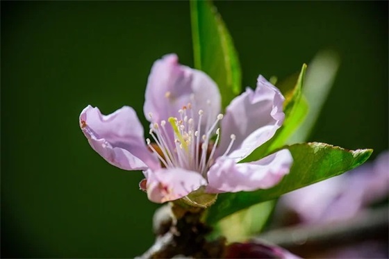 感恩白衣天使的励志话语(精选44句)