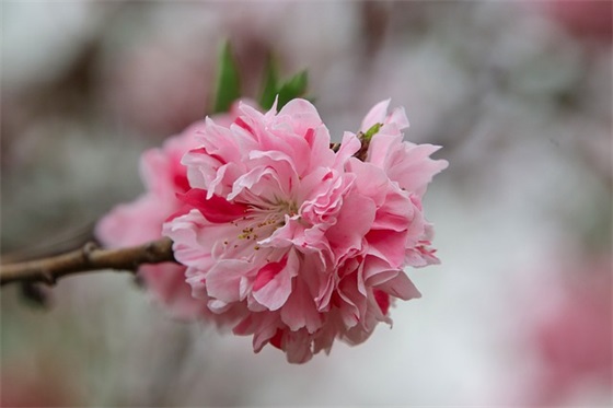 小朋友一起长大的文案(精选52句)