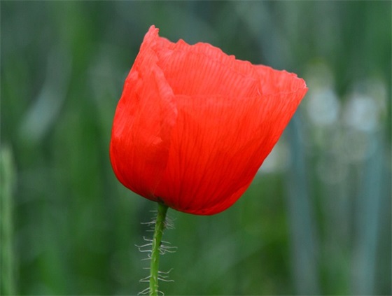 描写安静的优美段落 描写大海的优美段落 安静的大海