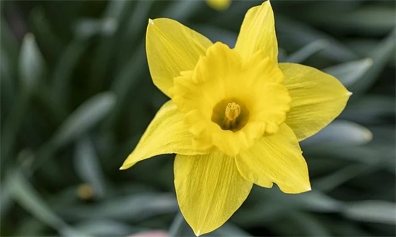 非常经典的座右铭 幼师的座右铭经典(精选85句)