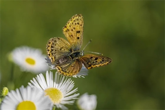 校园的一角(精选4篇)