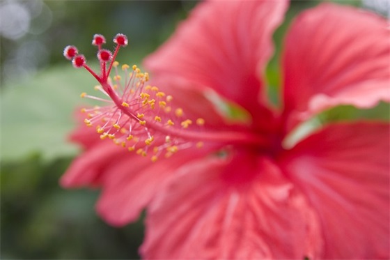 2024关于抗击疫情的励志寄语(精选47句)