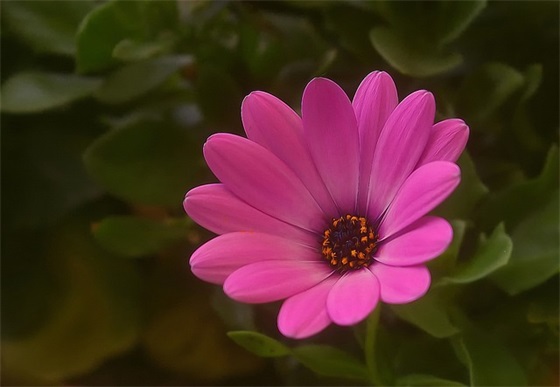 学生会招新面试问题 大学学生会新颖面试题(精选3篇)