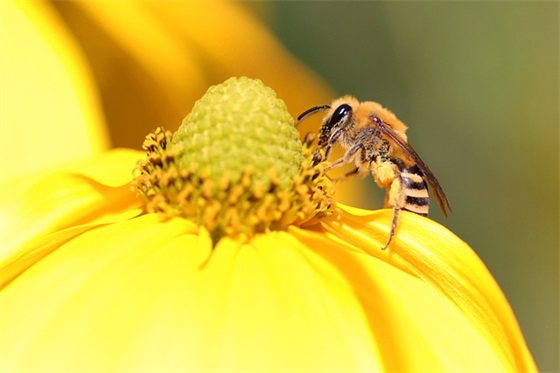 感谢语简短 学生家长对老师的感谢语简短(精选58句)